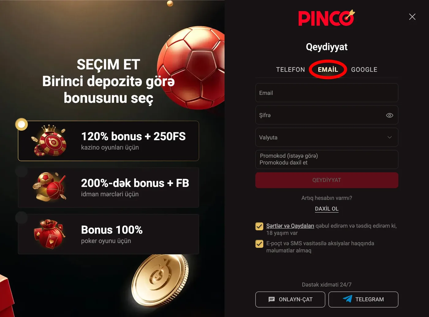 PINCO qeydiyyat formasının e-poçt variantı: ünvan və şifrə sahələri